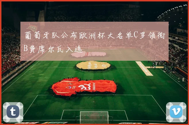 葡萄牙队公布欧洲杯大名单C罗领衔B费席尔瓦入选