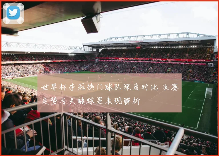 世界杯夺冠热门球队深度对比 决赛走势与关键球星表现解析