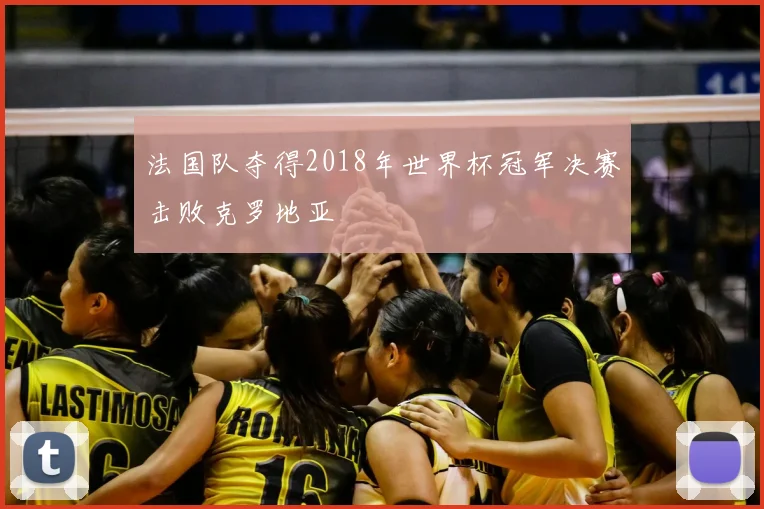 法国队夺得2018年世界杯冠军决赛击败克罗地亚
